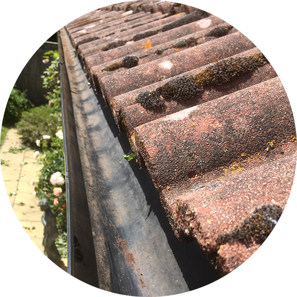 Adalar Çatı Oluk Temizleme